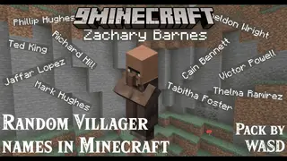 WASD Random Villager Names Data Pack (1.20.6, 1.20.1) – Villagers Have Names!