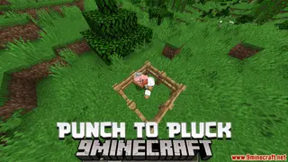 Plucked Data Pack (1.20.4, 1.19.4) – Feather Harvesting Mastery!