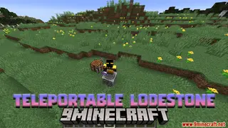 Teleportable Lodestone Data Pack (1.20.4, 1.19.4) – Wayfinding Data Pack!