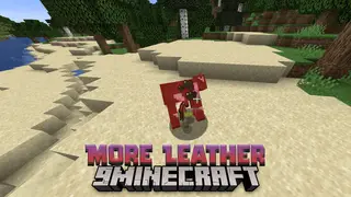 More Leather Data Pack (1.20.4, 1.19.4) – Leather in Stock