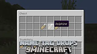 NameTag Drops Data Pack (1.20.4, 1.19.4) – Memories Remain By The Name