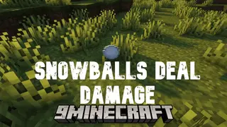 Snowballs Deal Damage Data Pack (1.20.2, 1.19.4) – Frost Fury Unleashed!