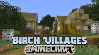 Birch Villages Data Pack (1.20.2, 1.19.4) – A Tranquil Addition To Your Minecraft World