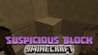 Suspicious Block Data Pack (1.20.2, 1.19.4) – Sus Block