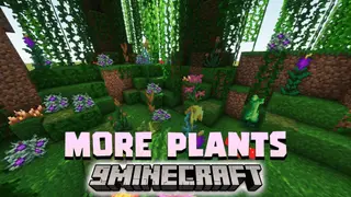 More Wild Plants Data Pack (1.20.2, 1.19.4) – Enhances Your Exploration Experience!