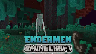 Endermen Data Pack (1.20.2, 1.19.4) – More Enderman!