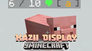 Kazii Display Data Pack (1.19.4, 1.19.2) – Indicators!