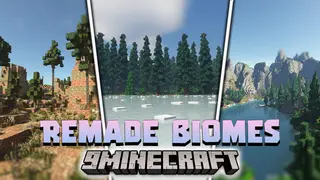 Remade Biomes Data Pack (1.17.1, 1.16.5) – Biomes Changes!