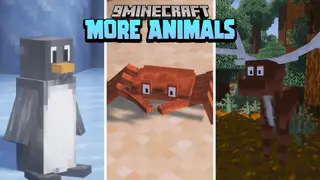 MoreAnimals Data Pack (1.19.3, 1.18.2) – Passive Creatures