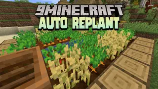 Auto Replant Data Pack (1.19.3, 1.18.2) – Auto Seed
