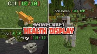 Health Display Data Pack (1.19.3, 1.19.2) – Health and Damage Indicator