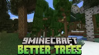 Better Trees Data Pack (1.19.3, 1.18.2) – Tree Generation