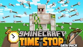 Time Stop Data Pack (1.19.3, 1.18.2) – Za Warudo