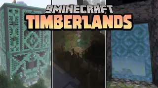 Timberlands Data Pack (1.19.4, 1.19.2) – End-game Dimension