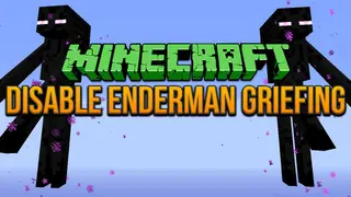No Endermen Griefing Data Pack (1.16.5, 1.13.2)