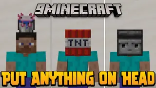 Hats Data Pack (1.18.2, 1.17.1) – Wears anything as a Hat