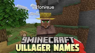 Villager Names Data Pack (1.18.2, 1.17.1) – Random names for Villlagers