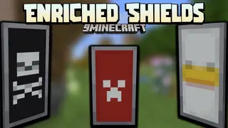 Enriched Shields Data Pack 1.18.1 (New Shields)