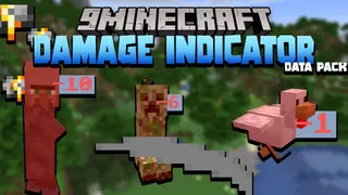 Damage Indicator Data Pack 1.18.1, 1.17.1 (Display, Ultility)