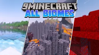 Everything Data Pack 1.17.1, 1.16.5 (Biomes, Exploration)