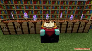Bottle-able Exp Data Pack 1.14.4, 1.14 (Tasty Exp)