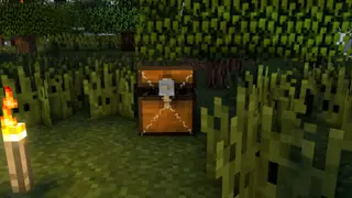 Lockable Chests Data Pack 1.14.2, 1.14 (Keep Your Stuff Safe)