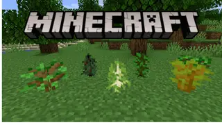 Smart Saplings Data Pack 1.14