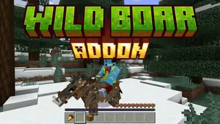 Wild Boar Addon (1.21, 1.20) – MCPE/Bedrock Mod