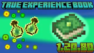True Experience Book Addon (1.21, 1.20) – MCPE/Bedrock Mod