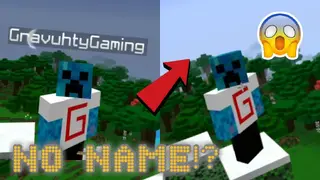 NameTag Hidden Addon (26.x, 1.21) – MCPE/Bedrock