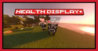 Health Display Plus Addon (26.x, 1.21) – MCPE/Bedrock Mod