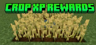 Crop XP Rewards Addon (26.x, 1.21) – MCPE/Bedrock Mod