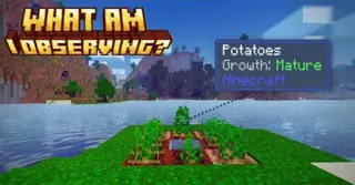 What Am I Observing Addon (1.21, 1.20) – MCPE/Bedrock WAIO Mod