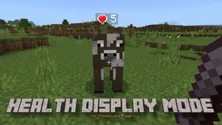 Health Display Addon (26.x, 1.21) – MCPE/Bedrock Mod