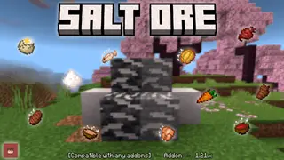 Salt Ore and Food Addon (26.x, 1.21) – MCPE/Bedrock Mod
