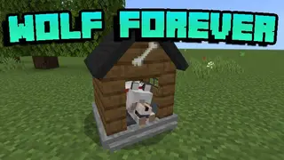 Wolf Forever Addon (1.20, 1.19) – MCPE/Bedrock Mod