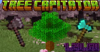 True Tree Capitator Addon (1.20) – MCPE/Bedrock Mod
