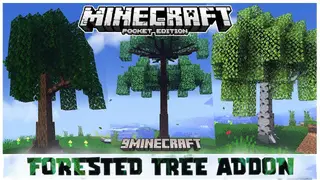 Forested Trees Addon (1.20, 1.19) – Minecraft PE/Bedrock Mod