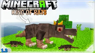 King of Rats Addon (1.20, 1.19) – MCPE/Bedrock Mod