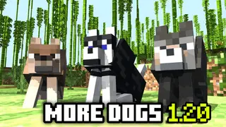 Minecraft Dog's Expansion Addon (1.20, 1.19) – MCPE/Bedrock Mod