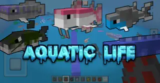 Aquatic Life Addon (1.20, 1.19) – MCPE/Bedrock Mod