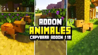 Capybaras Addon (1.20, 1.19) – MCPE/Bedrock Mod