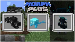 Morph Plus Addon (26.x, 1.21) – MCPE/Bedrock Mod