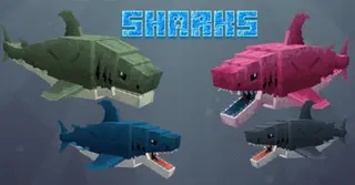 Megadolv Sharks Addon (1.20, 1.19) – MCPE/Bedrock Mod