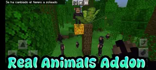 Real Animals Addon (1.19) – MCPE/Bedrock Mod