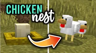 Incubation Addon (1.19) – MCPE/Bedrock Chicken Nest Mod