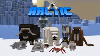 Arctic Addon (1.19) – MCPE/Bedrock Mod