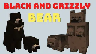 Black and Grizzly Bear Addon (1.19) – MCPE/Bedrock Mod