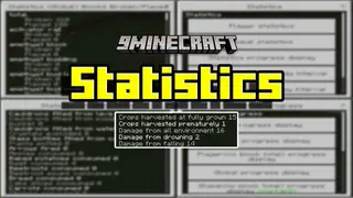 Statistics Addon (1.19) – MCPE/Bedrock Mod
