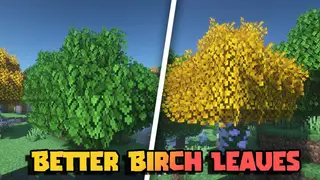Better Birch Leaves Texture Pack (1.20, 1.19) – MCPE/Bedrock